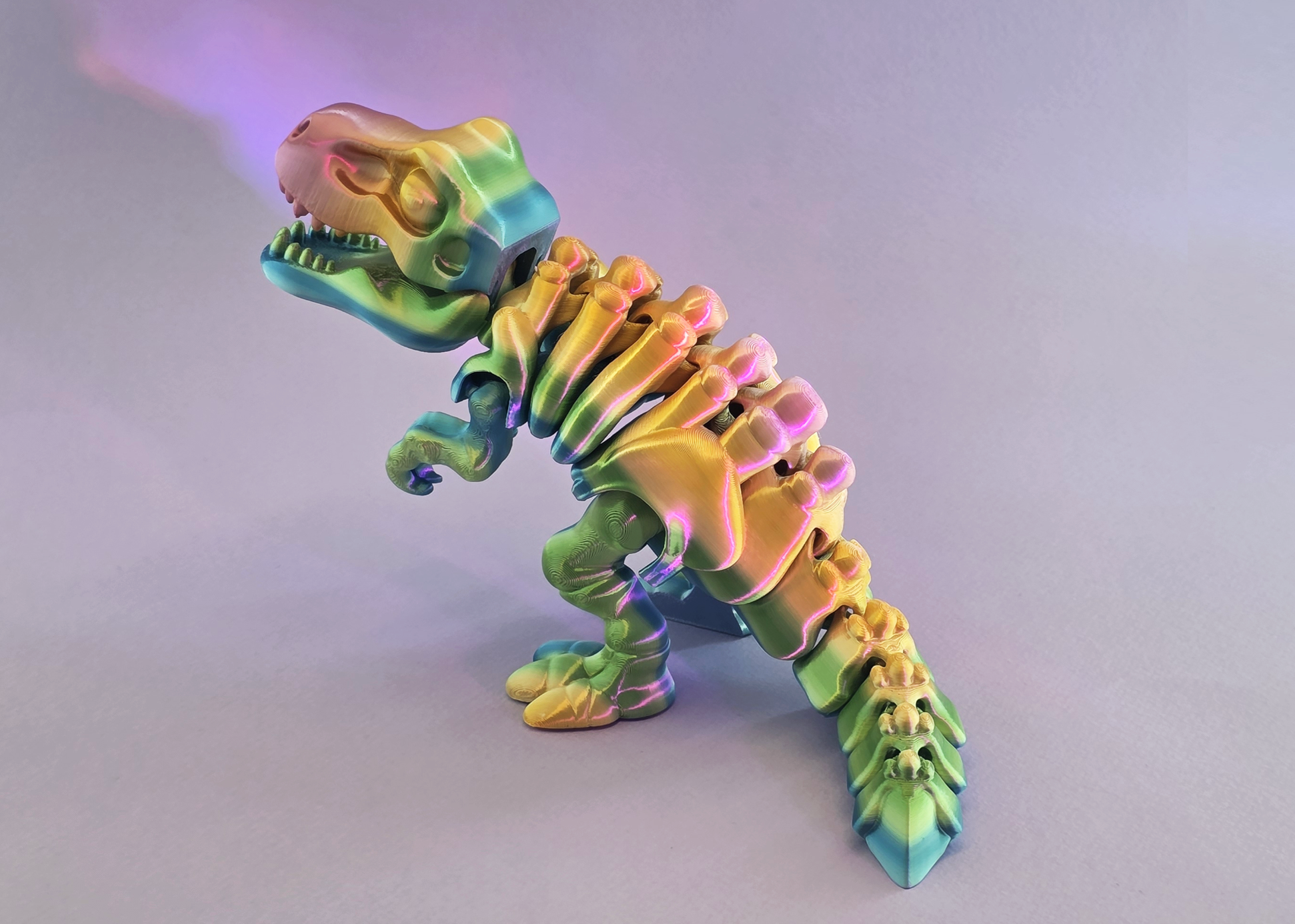Flexi Skeleton T-Rex